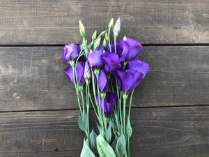 Lisianthus