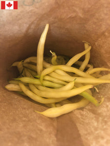 Local Beans