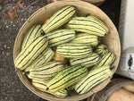 Load image into Gallery viewer, Squash - Local
