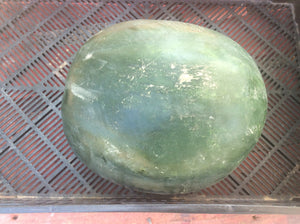 Local Watermelon