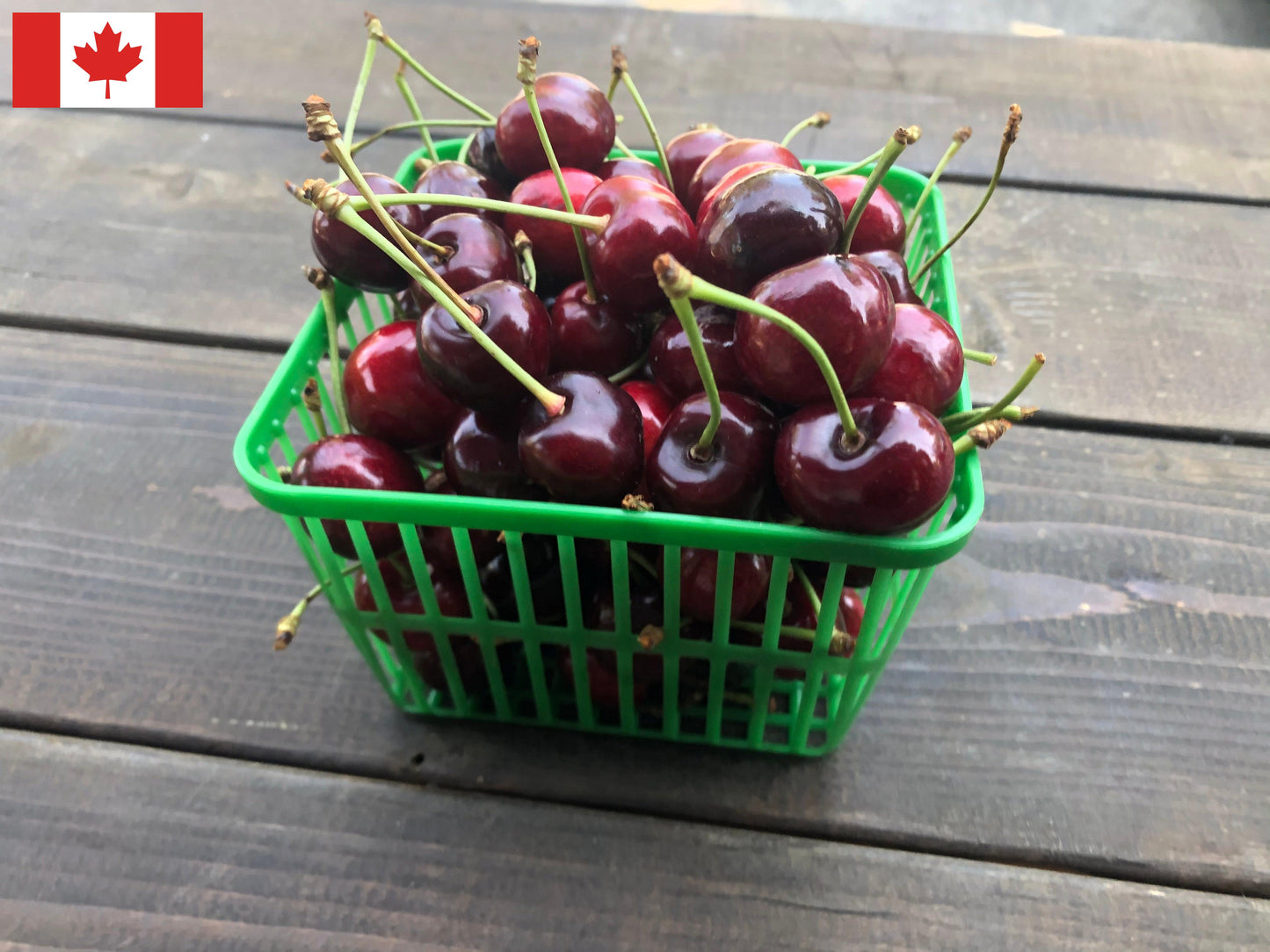 Local Sweet Cherries